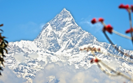 ????????????????????????????????????