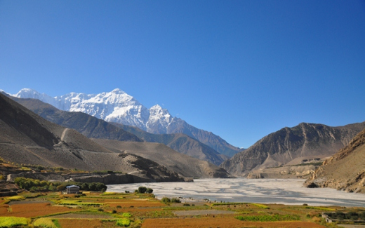 ????????????????????????????????????