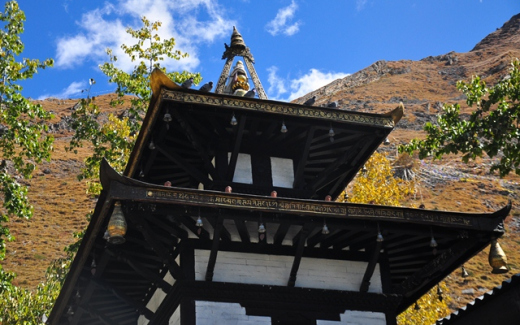 ????????????????????????????????????