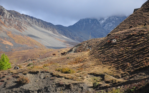 ????????????????????????????????????