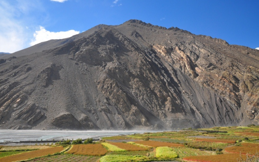 ????????????????????????????????????