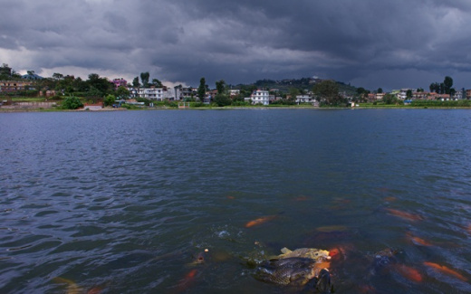 ????????????????????????????????????